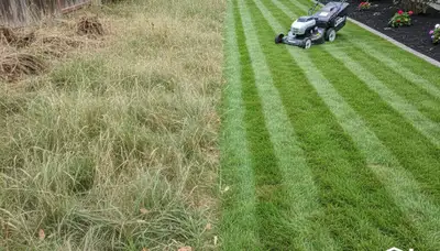 Before and after lawn mowing showing dramatic grass transformation by landscapers in Redding, CA