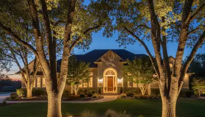 Mature trees uplighted with landscape lighting showcasing evening curb appeal in Redding, CA